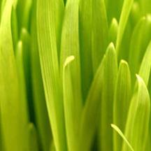 稳定不封的ip攻击器网页版